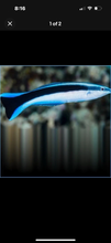 Load image into Gallery viewer, 3 Blue Streak Cleaner Wrasse - Saltwater Fish  *LIMITED Free Shipping*
